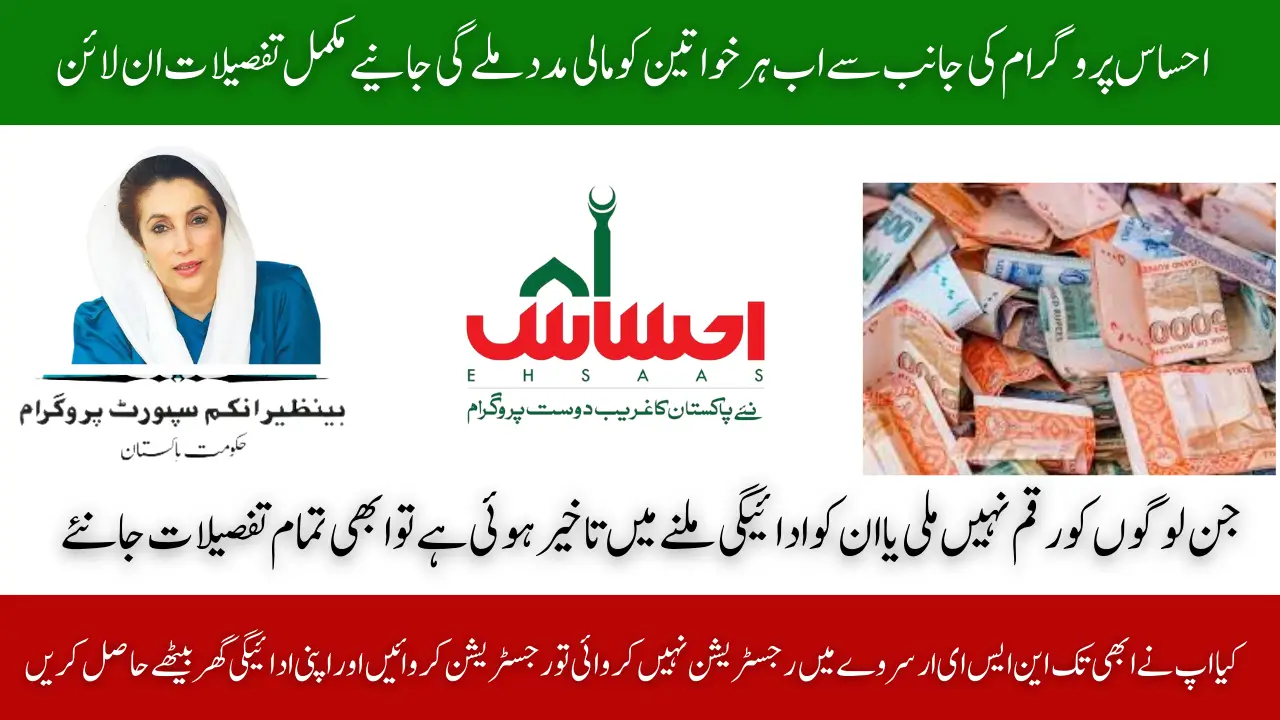 Ehsaas 8171 September 2025 – New CNIC Verification & Hassle-Free Rs. 13,500 Payment Guide